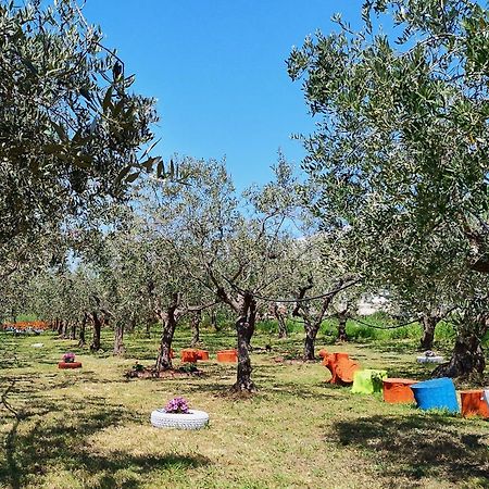 Colline Del Sole Bed & Breakfast San Salvo Exterior photo